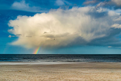 Beautiful baltic sea pictures