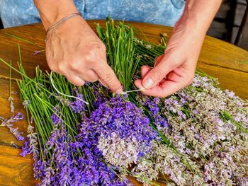 High angle view of hand holding purple flowering plant