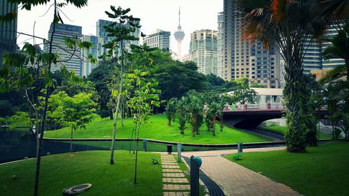 Walkway in park