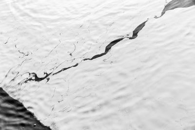 High angle view of a lake