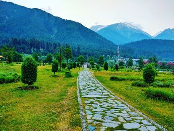 Scenic view of green landscape against sky