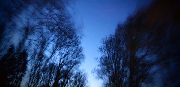 Low angle view of bare trees against blue sky