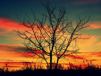 Silhouette tree against romantic sky at sunset