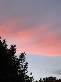 Low angle view of silhouette trees against romantic sky