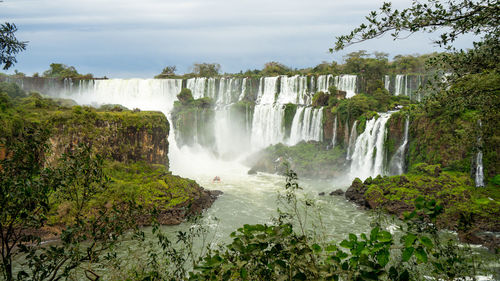 Scenic view of waterfall in forest