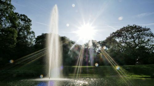 View of fountain against trees