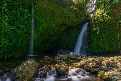 Scenic view of waterfall in forest