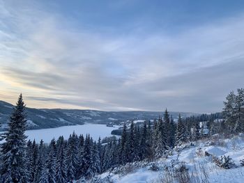 Snow covered landscape against sky