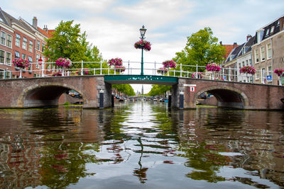 Bridge over river in city against sky