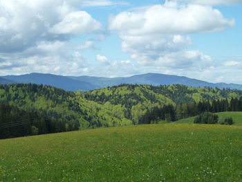 Scenic view of landscape against sky