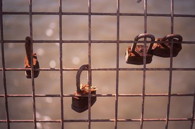 Close-up of padlock on fence