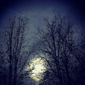 Low angle view of bare trees against sky