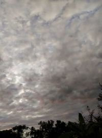 Low angle view of trees against cloudy sky