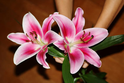 flower