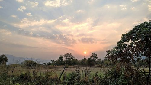 Scenic view of field against sky during sunset