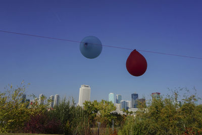 Low angle view of balloons against buildings against clear blue sky