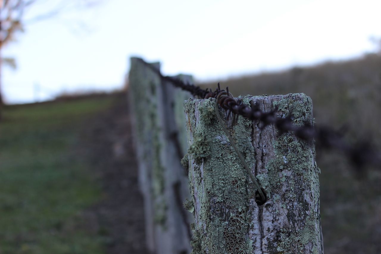 CLOSE-UP OF WOODEN FENCE ON TREE