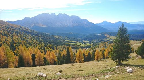 Scenic view of landscape against sky