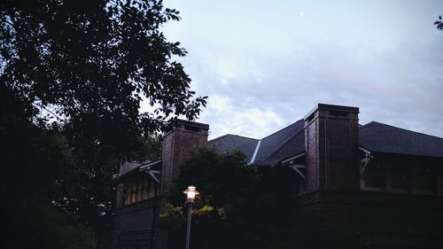 Trees in front of building