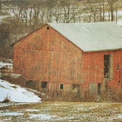 Snow covered landscape