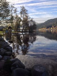 Reflection of trees in lake