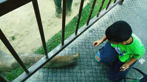 Boy feeding elephant on footbridge