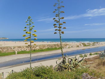 Scenic view of sea against blue sky