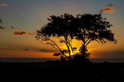 Silhouette tree by sea against sky during sunset