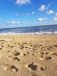 Scenic view of beach against sky