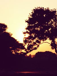 Silhouette trees against sky during sunset