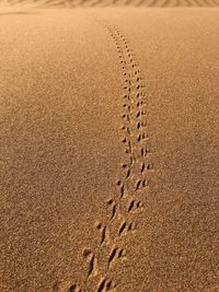 High angle view of footprints on sand