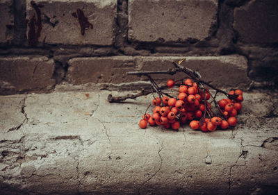 Close-up of fresh fruits against wall