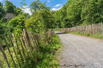 Road amidst trees and plants against sky