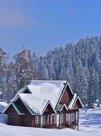 Snow covered houses by trees against sky