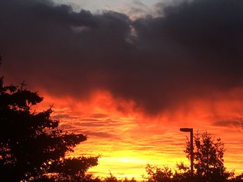 Low angle view of silhouette trees against dramatic sky