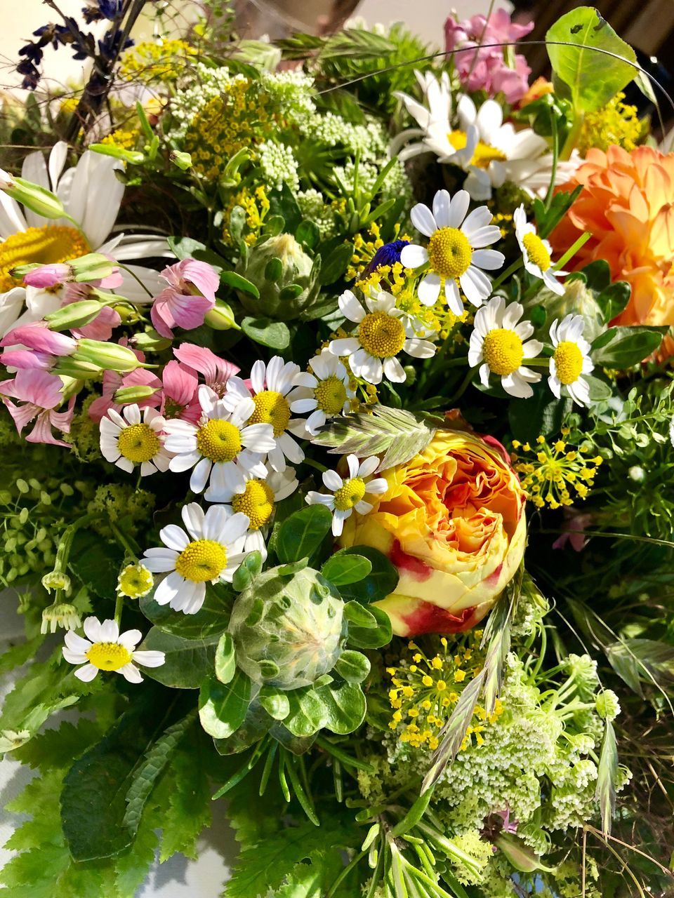 flowering plant, flower, freshness, plant, vulnerability, fragility, petal, beauty in nature, flower head, inflorescence, nature, close-up, growth, no people, day, high angle view, multi colored, choice, daisy, outdoors, flower arrangement, pollen, bouquet