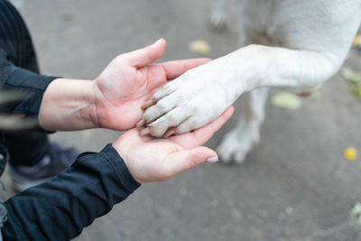 Cropped image of man holding hands