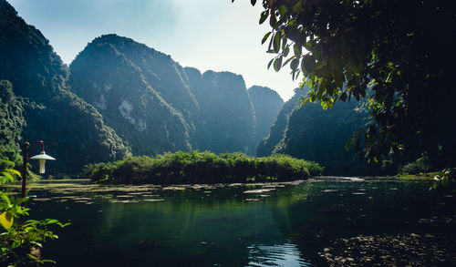 Scenic view of lake by trees against sky