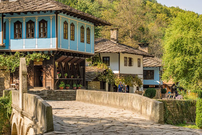 Houses by road in town