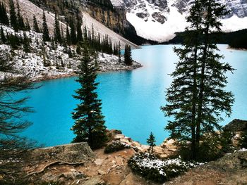 Scenic view of lake in forest