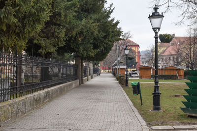 Street amidst trees and buildings in city