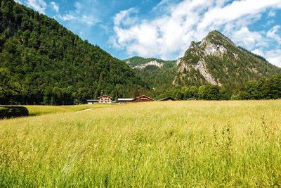 Scenic view of field and mountains against sky