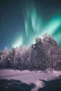 Snow covered trees against sky at night