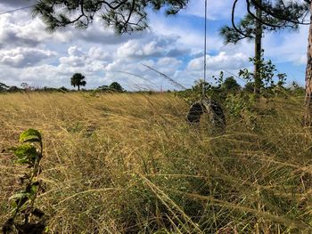 Scenic view of field against sky