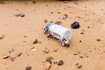 High angle view of toy on sand