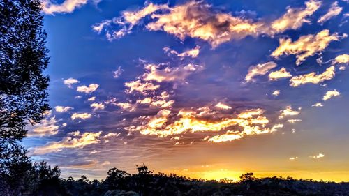 Low angle view of cloudy sky