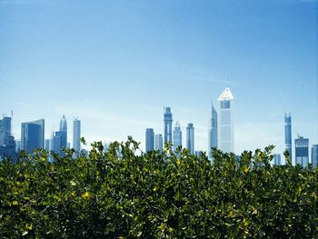 Trees and cityscape against clear sky