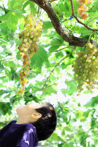 Boy eating grapes