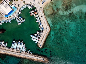 High angle view of people in swimming pool