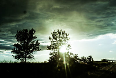 Low angle view of silhouette trees against sky